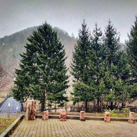 Villa & Spa 4Temporadas - Plaiul Foii Zărneşti Exteriér fotografie