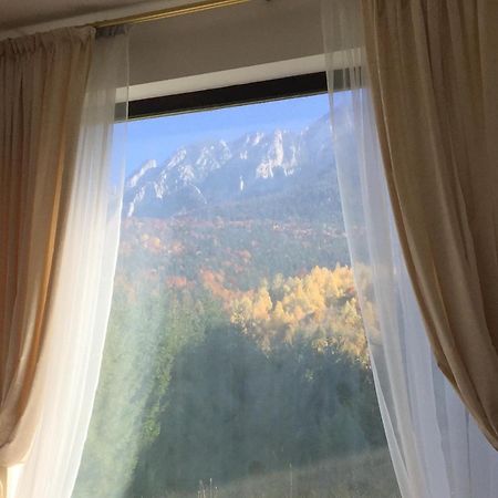 Villa & Spa 4Temporadas - Plaiul Foii Zărneşti Exteriér fotografie