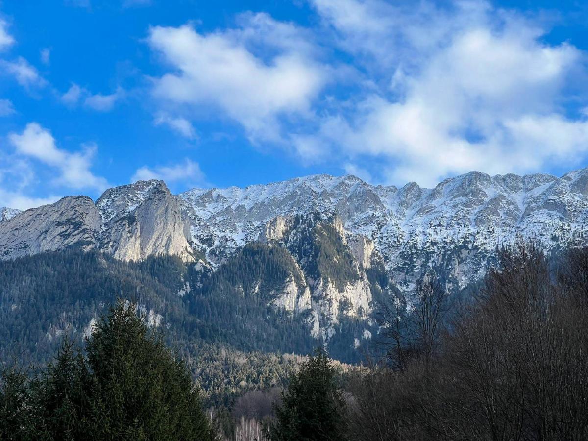 Villa & Spa 4Temporadas - Plaiul Foii Zărneşti Exteriér fotografie
