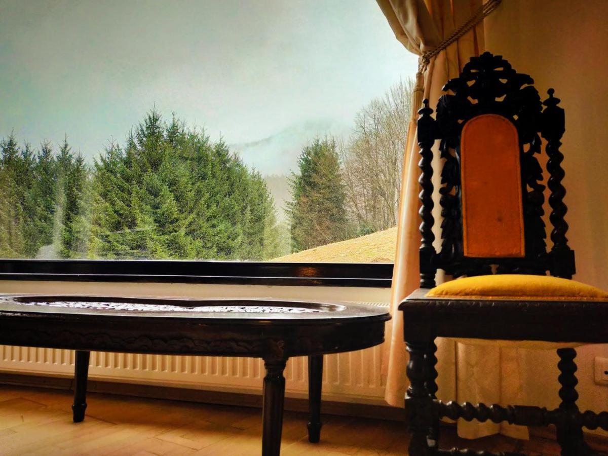 Villa & Spa 4Temporadas - Plaiul Foii Zărneşti Exteriér fotografie