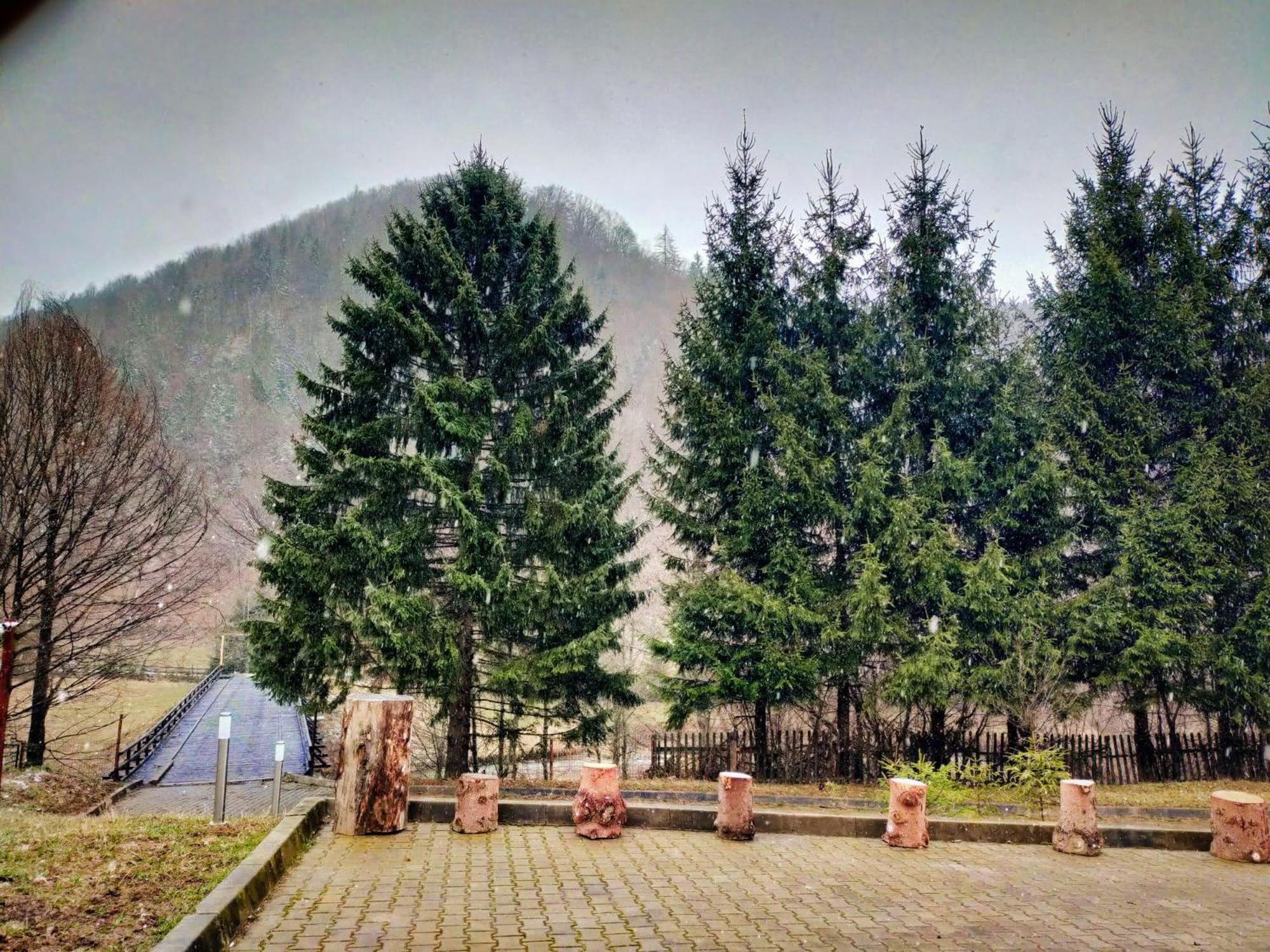 Villa & Spa 4Temporadas - Plaiul Foii Zărneşti Exteriér fotografie