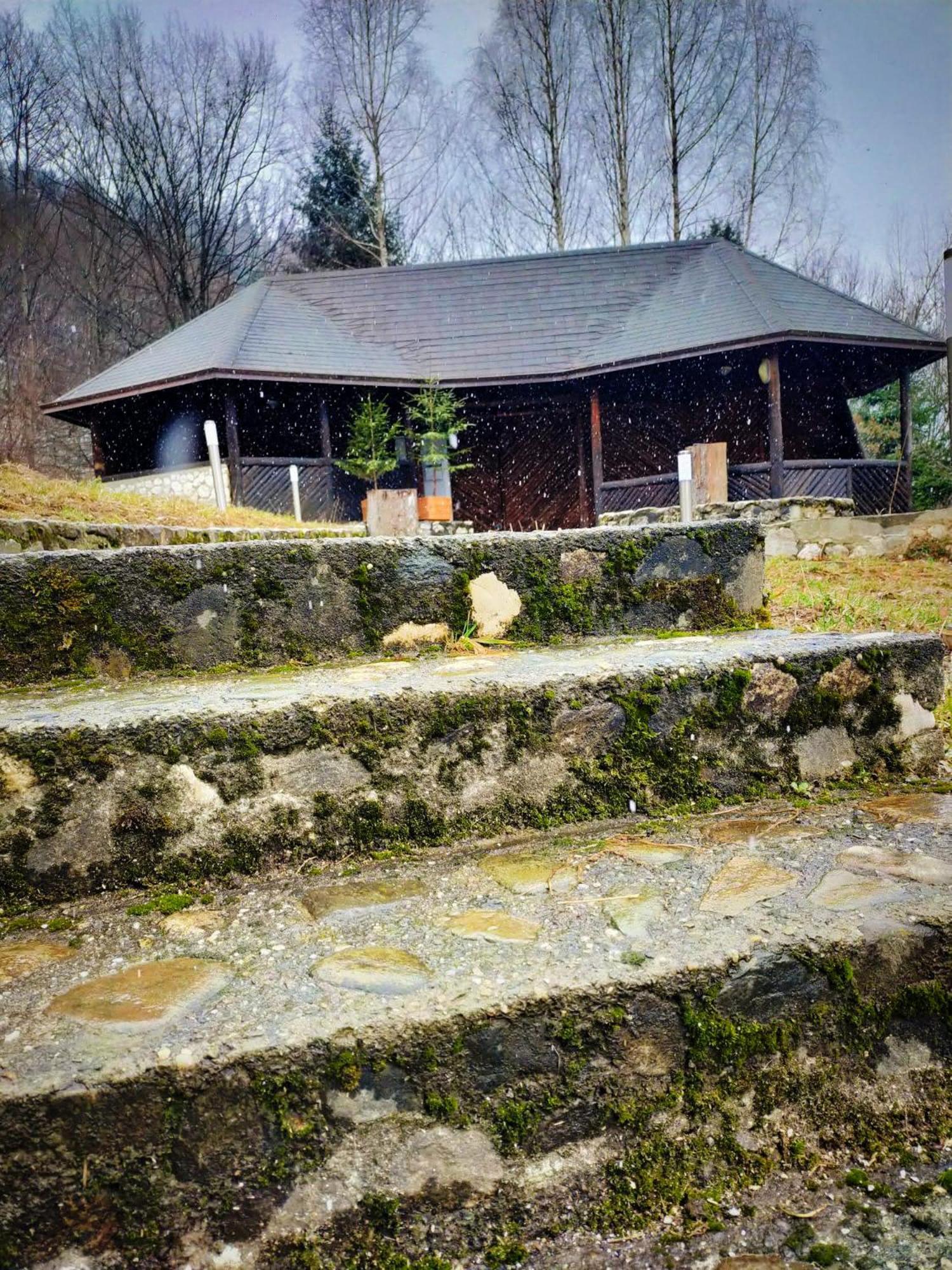 Villa & Spa 4Temporadas - Plaiul Foii Zărneşti Exteriér fotografie